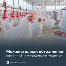 Ви зараз переглядаєте Держпродспоживслужба назвала способи захисту комерційних господарств від грипу птиці