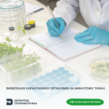 Ви зараз переглядаєте Фітосанітарна безпека України: підсумки тижня — 27 935 аналізів та 5 160 сертифікатів
