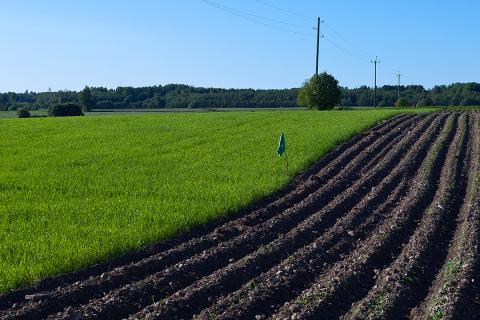 Ви зараз переглядаєте Виробники нішевих культур у Вісконсині повідомляють про зростання витрат на добрива, пакування та насіння