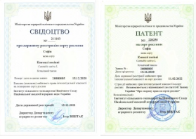Снимок экрана 2026 09 09 4 154700