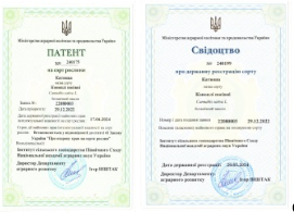 Снимок экрана 2026 09 09 154128.png1