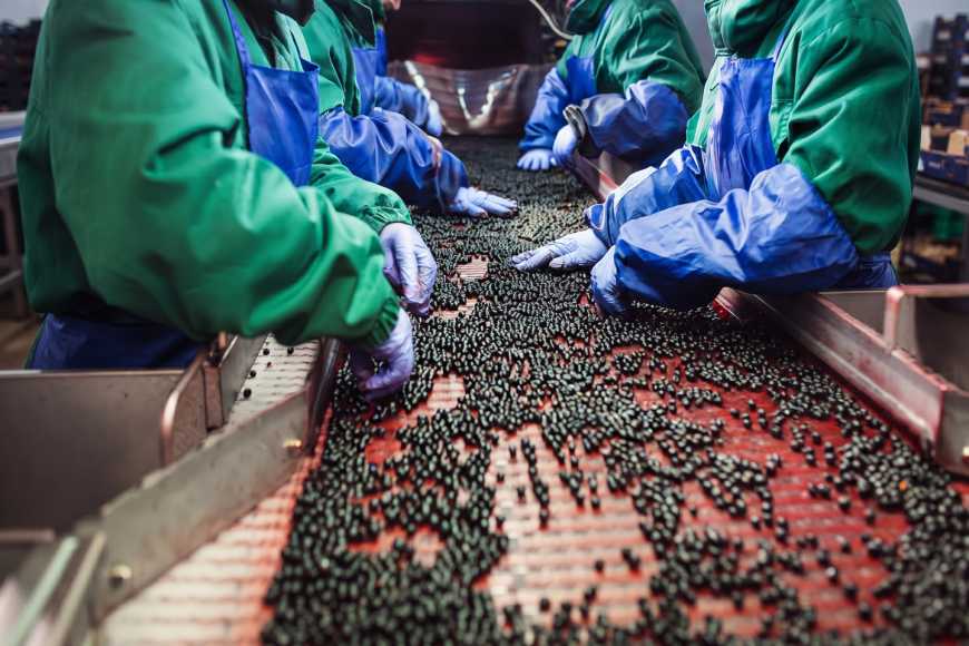 Ви зараз переглядаєте Україна вивезла 2200 тонн органічної ягоди — виторг зріс