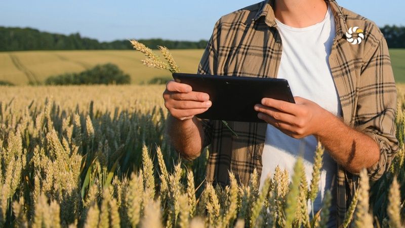 Ви зараз переглядаєте Activitis і WEAGRO тестують аграрні ноти у реальному господарстві