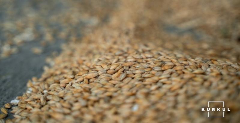 Аграрії не поспішають продавати пшеницю на тлі зниження цін Аграрії не поспішають продавати пшеницю на тлі зниження цін