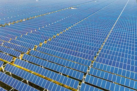 Ви зараз переглядаєте Ферма в Массачусетсі вирощує овочі під 832 сонячними панелями: врожайність кукурудзи — близько 80% від поля