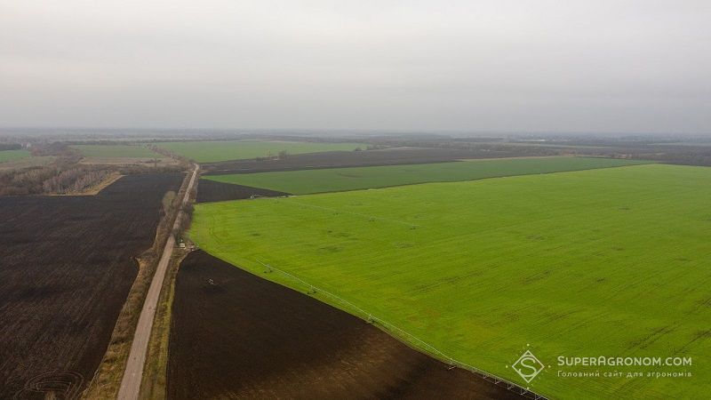Ви зараз переглядаєте Через близькість до фронту господарство на Сумщині залишить частину земель необробленими