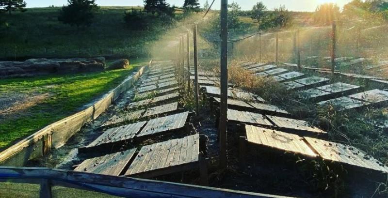 Jiffy Farm