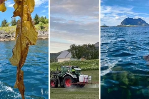Ви зараз переглядаєте Норвезькі біостимулянти з арктичних водоростей роблять акцент на розвитку коренів для роботи в умовах спеки й дефіциту вологи