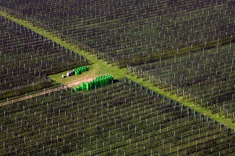 Ви зараз переглядаєте Western Growers випробовує автоматизоване збирання овочів у польових умовах: фокус на надійності та економіці