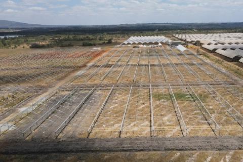 Ви зараз переглядаєте Kakuzi розпочала в Кенії проєкт 12-гектарних теплиць для вирощування лохини