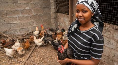 Ви зараз переглядаєте У Танзанії проєкт ILRI Women in Business розвинув мережу постачальниць курчат і ветпослуг для дрібних птахівників
