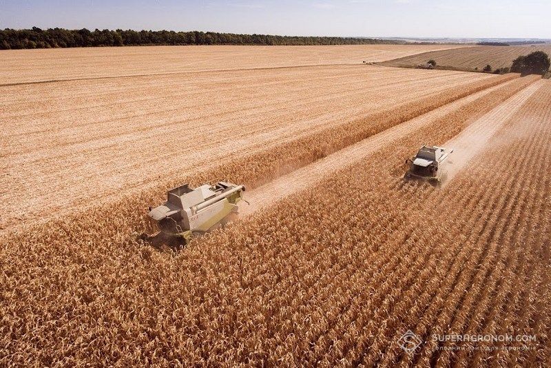 Ви зараз переглядаєте П’ять областей України розпочали збирання кукурудзи