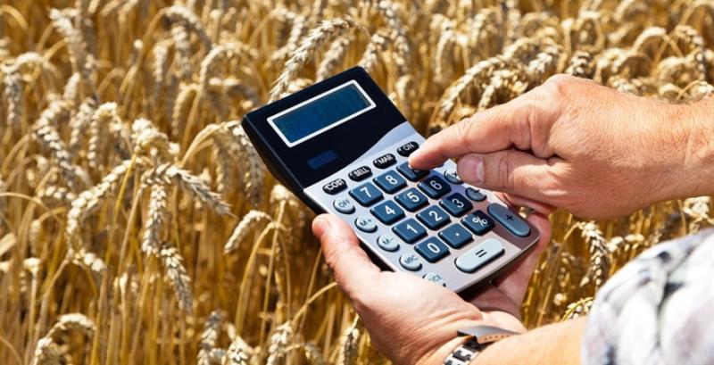 Пшеницю варто продавати до того, як експортну логістику перевантажить кукурудза — брокер Пшеницю варто продавати до того, як експортну логістику перевантажить кукурудза — брокер
