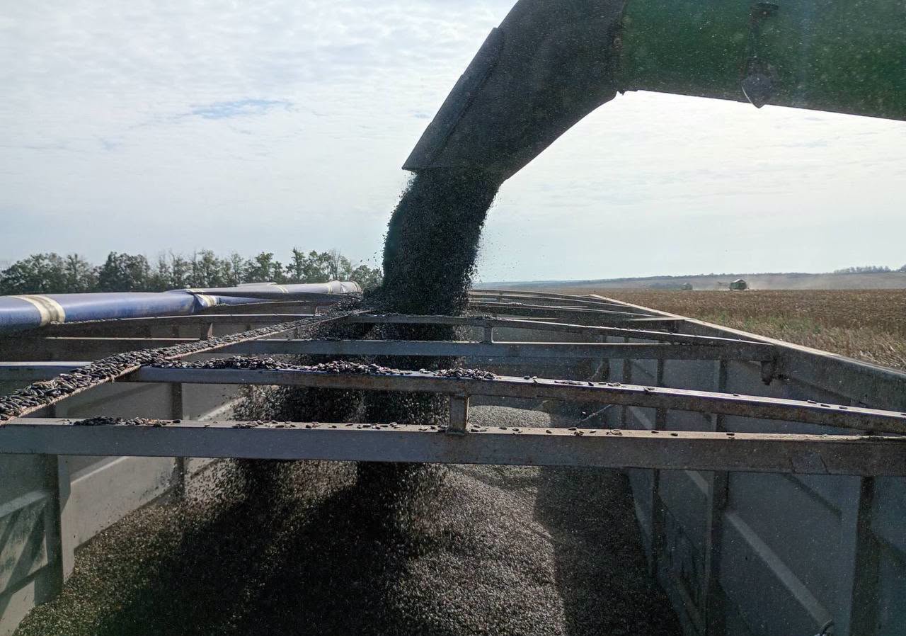 Ви зараз переглядаєте Tekom Agro Group збирає соняшник із врожайністю до 26 ц/га: якої якості насіння надходить на елеватори