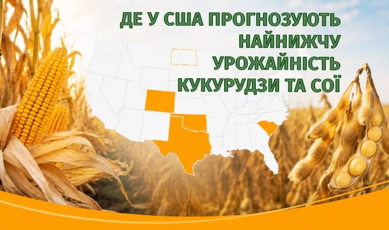 Ви зараз переглядаєте У США назвали штати з найнижчою урожайністю кукурудзи та сої у 2026 році