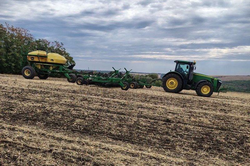 Ви зараз переглядаєте У Tekom Agro Group назвали норми висіву озимого ріпаку для різних міжрядь