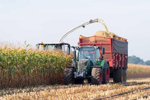 Ви зараз переглядаєте Німецькі фермери показали, як оцінюють вміст сухої речовини в кукурудзі за допомогою Thermomix і аерофритюрниці