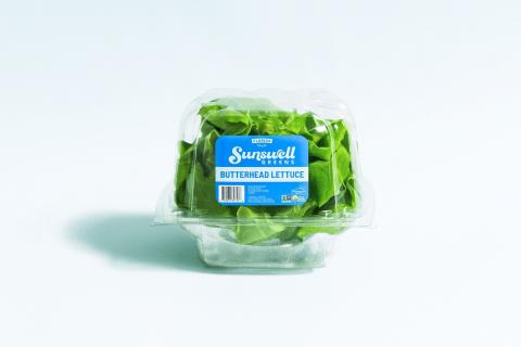 Ви зараз переглядаєте Гідропонна теплична компанія Sunswell Greens розширила продажі салату butterhead у мережі Target на Південному Сході США
