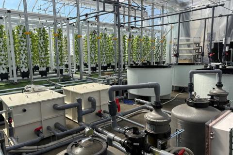 Ви зараз переглядаєте Aquponi планує вихід на ринок США з інтегрованими аквапонічними тепличними системами