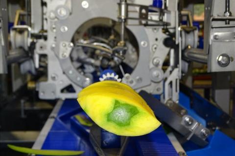Ви зараз переглядаєте ZTI оновила мангову машину MPDC20: фіксовані модулі De-Cheek та Auto-Reset для зменшення простоїв