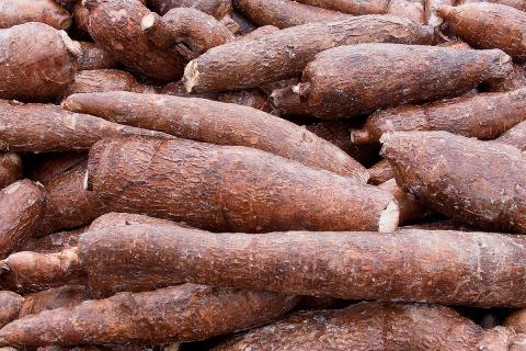 Ви зараз переглядаєте У Кенії кількість сертифікованих органічних виробників зросла до близько 64 тис. — KOAN