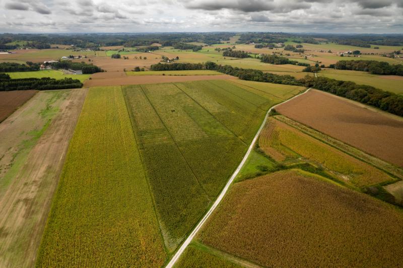 22 10 26 1 lidea 1779870066782 DJI 01701