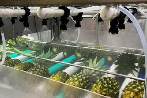 Ви зараз переглядаєте JBT Marel представила рідкий віск Sta-Fresh Flowable Wax 4000 для обробки ананасів