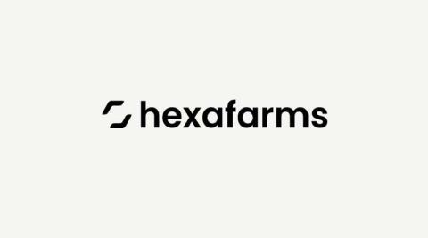 Ви зараз переглядаєте Берлінський стартап hexafarms залучив €4,8 млн на розвиток AI-моніторингу теплиць і прогнозування врожаю