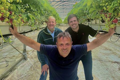 Ви зараз переглядаєте Fruit Forecast використовує відео зі смартфона та розпізнавання зображень для прогнозу врожаю полуниці на 4 тижні