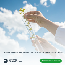Ви зараз переглядаєте Фітосанітарна безпека: за тиждень оформлено 8 112 фітосанітарних сертифікатів