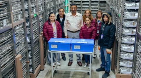 Ви зараз переглядаєте IRRI передав до Свальбардського сховища 1 890 зразків насіння рису для страхового зберігання