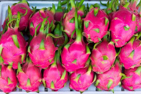 Ви зараз переглядаєте У В’єтнамі відновилися ціни на драгон-фрут, а овочі в Хошиміні подорожчали через скорочення пропозиції