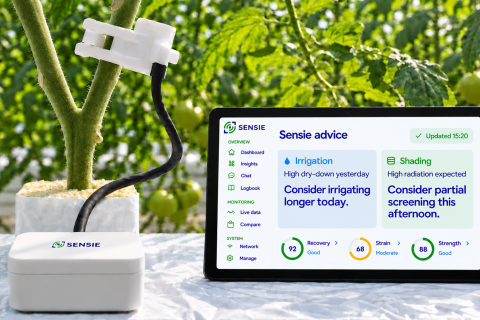 Ви зараз переглядаєте Sensie розширила платформу: Sensie Intelligence перетворює дані сенсорів на поради для тепличних культур у реальному часі