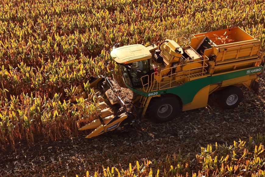 Ви зараз переглядаєте Врожайність насіннєвої кукурудзи на зрошенні сягнула 8,51 т/га: KWS завершила збирання