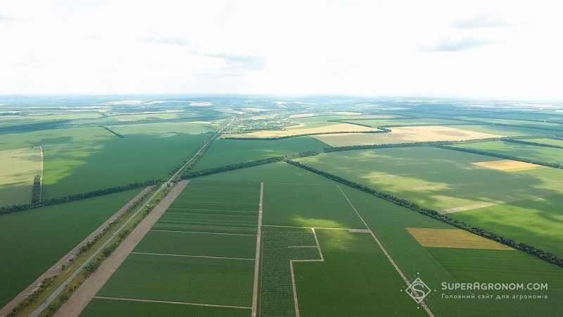 Ви зараз переглядаєте Агропросперіс скоротив земельний банк на 50 тис. га та продає нове підприємство