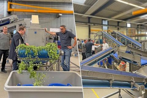 Ви зараз переглядаєте Німецький переробник Pentz запустив лінію для обробки до 7 т листового салату на добу