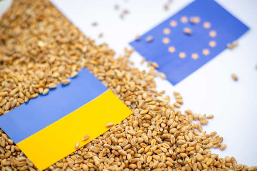 Ви зараз переглядаєте Перехідний період в ЄС: уряд готовий говорити, аграрії просять 10 років, економіст – проти