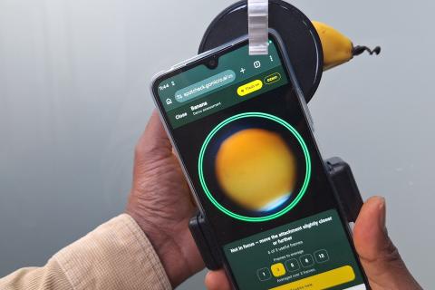 Ви зараз переглядаєте GoMicro AI тестує застосунок SpotCheck для стабільнішої оцінки кольору та стадій дозрівання бананів