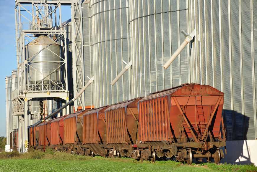 Ви зараз переглядаєте Європі бракує кукурудзи, а Україні – портів: що дасть транзит через Угорщину