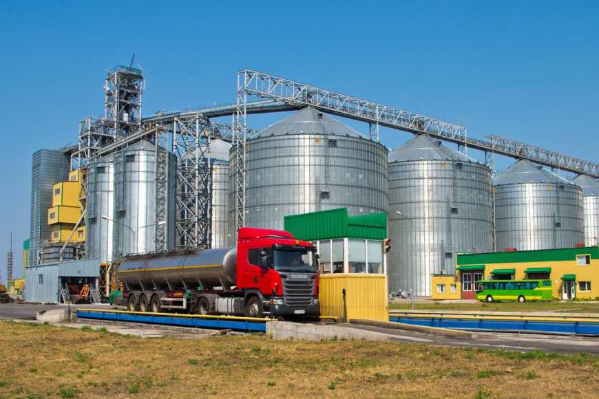 Ви зараз переглядаєте 950 тис. т замість 1,37 млн: Україна до кінця року вивезе на третину менше олії