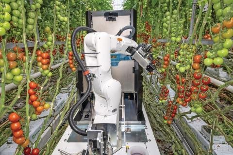 Ви зараз переглядаєте eternal.ag представила робота Harvester для збирання томатів на Tomatoworld