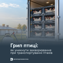 Ви зараз переглядаєте Держпродспоживслужба нагадала правила біобезпеки під час транспортування птиці через ризик грипу