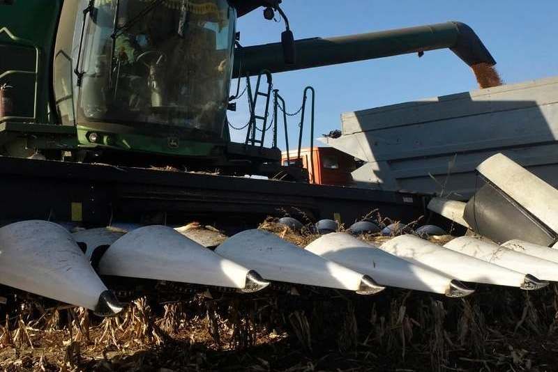Ви зараз переглядаєте Найвищу врожайність кукурудзи на демополігоні Ольгопіль отримали 7,8 т/та