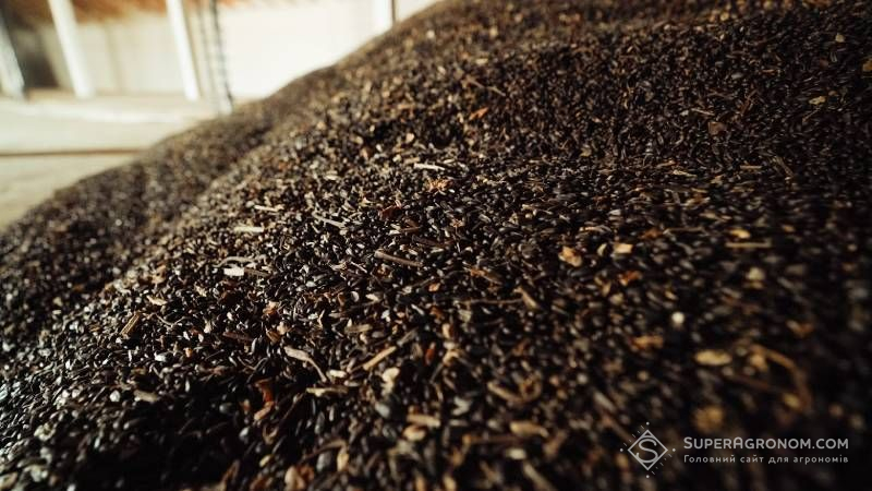 Ви зараз переглядаєте Олійні культури на Київщині зібрані вже на 85% площ