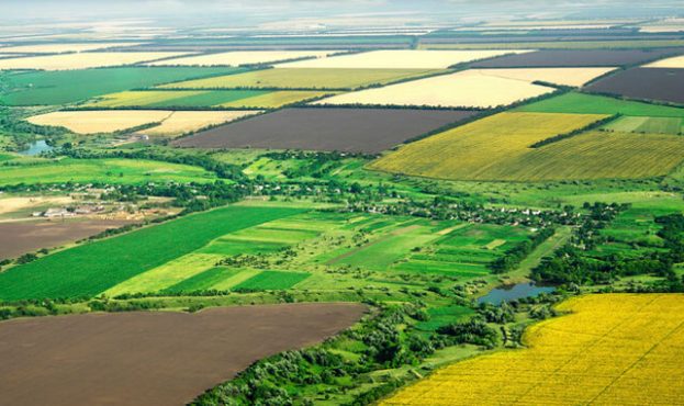 До 1 січня 2025 року всі власники паїв повинні оформити право власності0